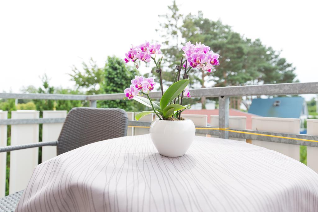 Hotel Garni Am Deich Zingst Cameră foto